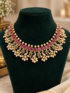 Royal Ruby Peacock AD